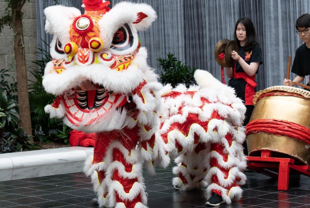 A photograph of a chinese new year lion