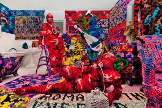 Olek's Knitting is for Pus**** made from mixed media for 40 Under 40 at the Renwick Gallery.