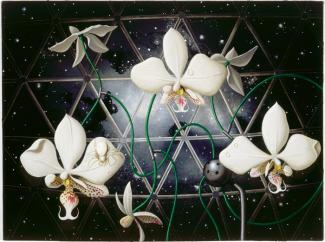 Rockman's oil painting of orchids in space.