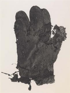 A photograph of a glove.