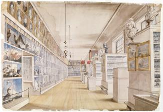 Exhibition - Humboldt, Charles Willson Peale and Titian Ramsay Peale, The Long Room, Interior of Front Room in Peale’s Museum, 1822, watercolor over pencil on paper, 14 × 20 3/4 in, Detroit Institute of Arts, Founders Society Purchase, Director’s Discreti