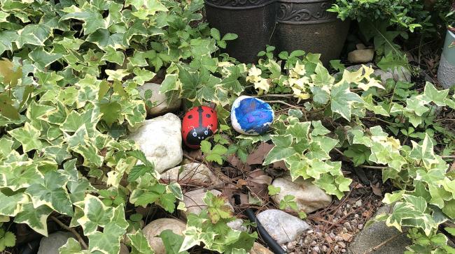 An image of painted stones in a garden
