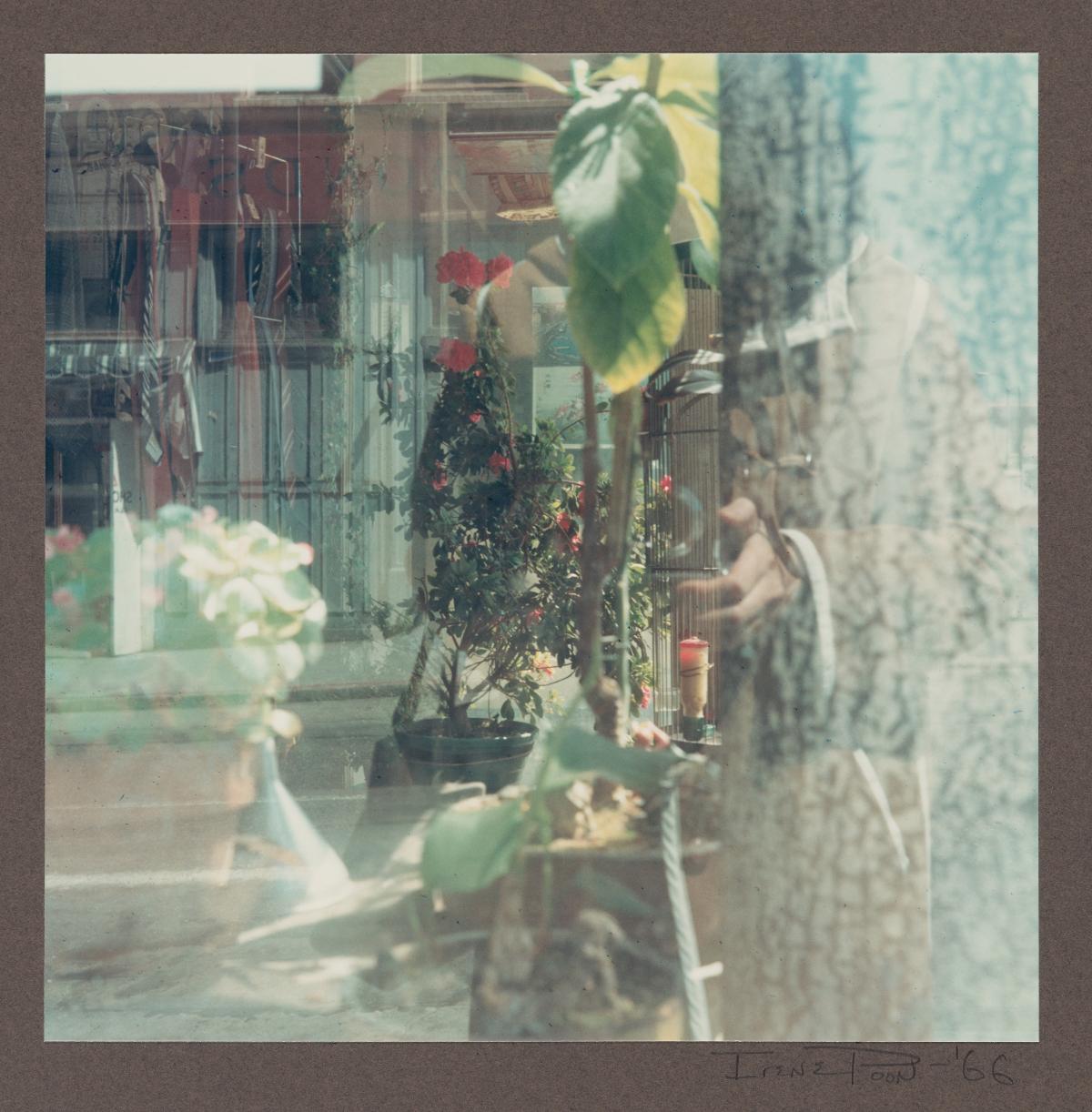 Photo of person reflected in glass of plant enclosure
