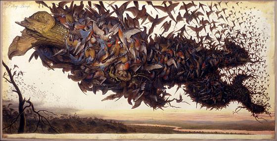 Splash Image - Bird Sighting: A Gallery Talk