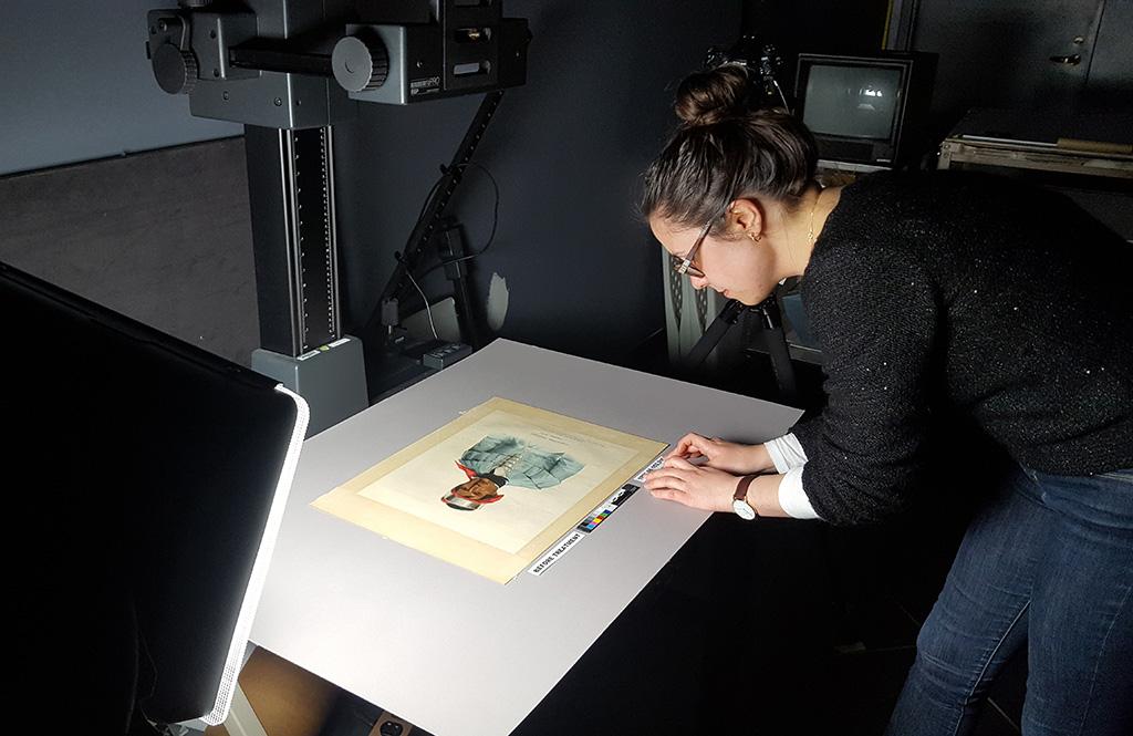 Splash Image - Where Is Everybody? Behind-the-Scenes in the Lunder Conservation Center