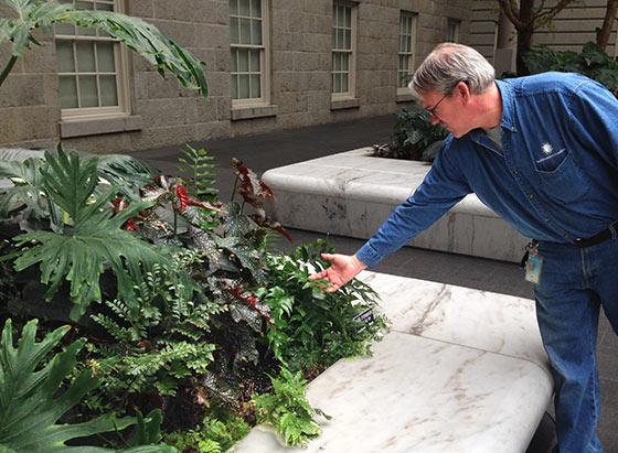 Splash Image - Smithsonian Horticulturalists Talk About American Art's Flora Splash Image - Smithsonian Horticulturalists Talk About American Art's Flora