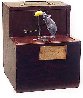 Blog Image 306 - Mousetrap 101: Patents and Innovation with Collector Alan Rothschild