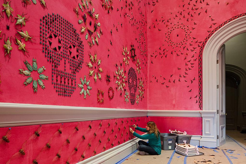 Splash Image - WONDER Artist Interview: Jennifer Angus