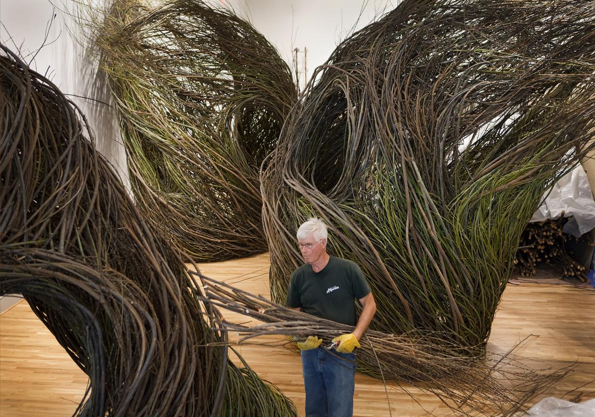Splash Image - Patrick Dougherty: Branching Out