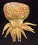 This is a brooch that looks like an orange and yellow octopus. 