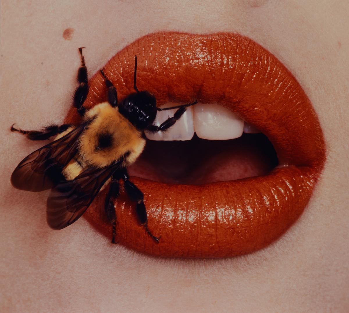 Irving Penn: Beyond Beauty | Smithsonian American Art Museum