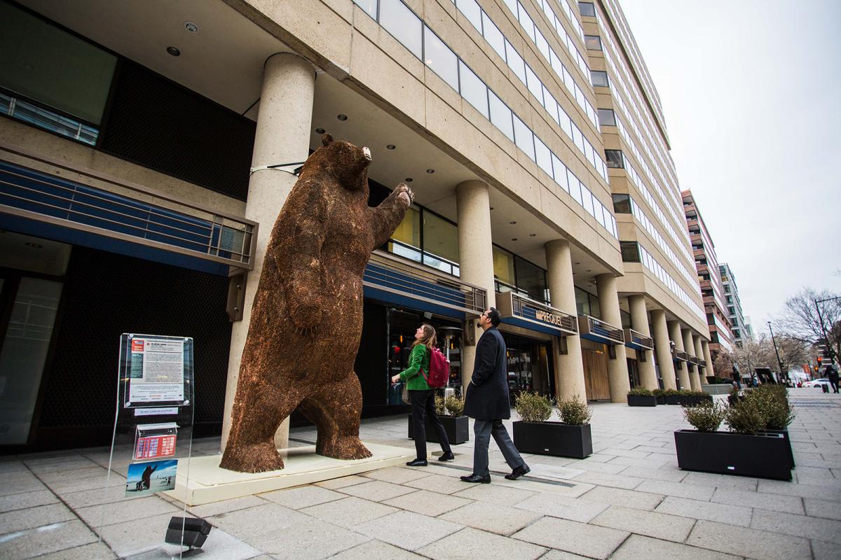 An image of a large out door bear made of pennies.
