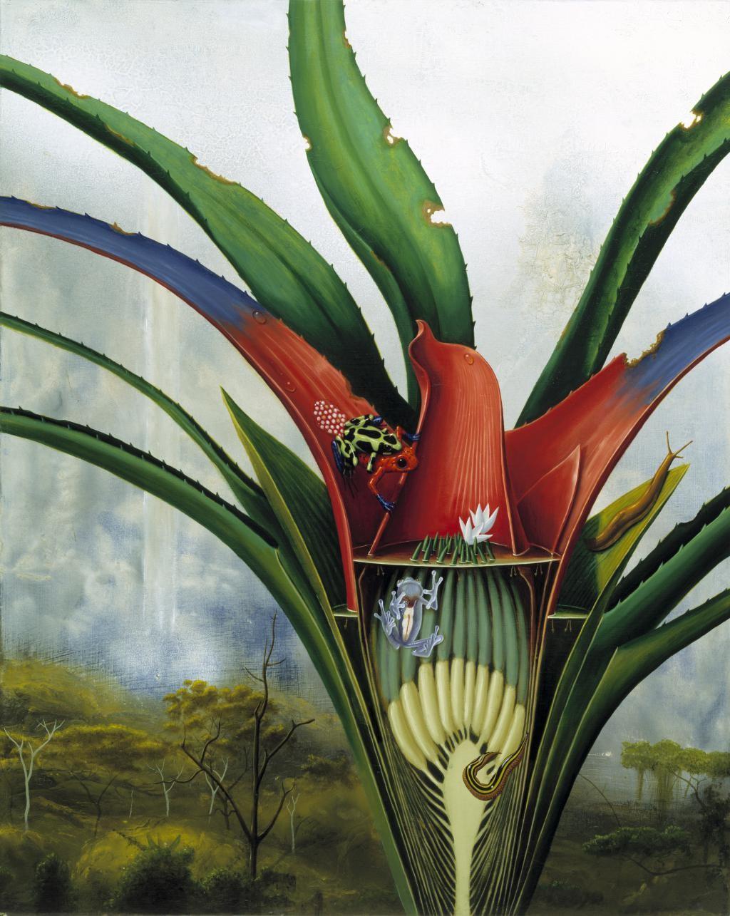 Alexis Rockman, Bromeliad: Kaieteur Falls