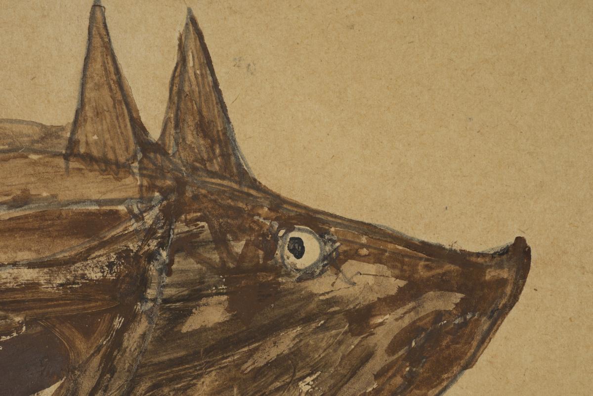 Blog - Conservation, Traylor, Untitled, Brown Pig This is a photograph of a detail of a side profile of a brown pig's face