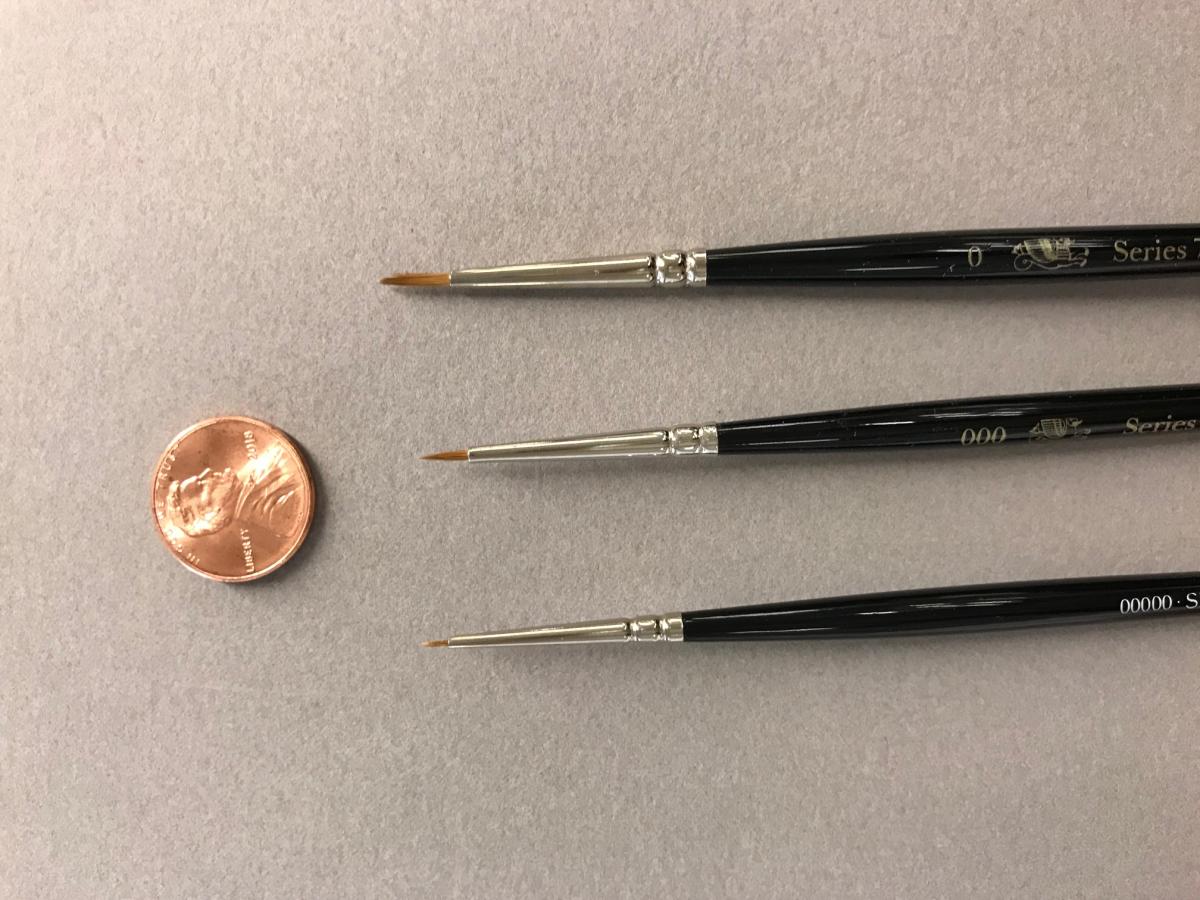 This is a photograph of three brushes with a penny to depict the small size of the brush hairs.