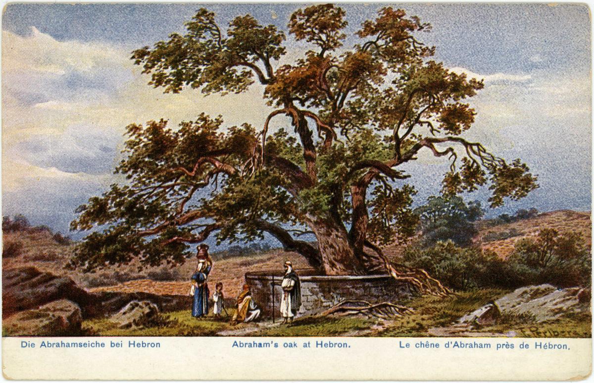 A watercolor postcard from 1898 of "Abraham's Oak at Hebron"