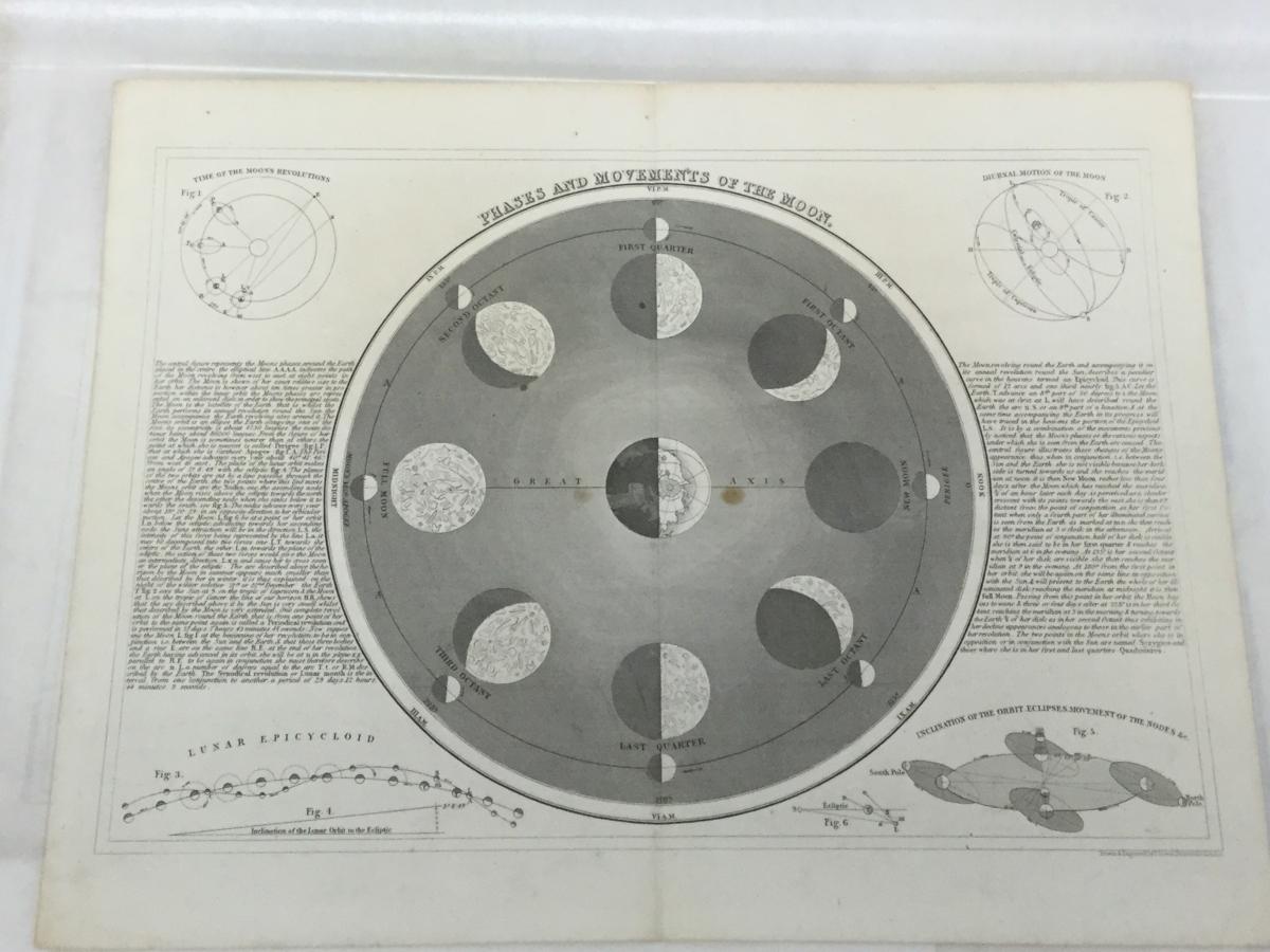 Phases and Movements of the Moon from the Joseph Cornell Study Center