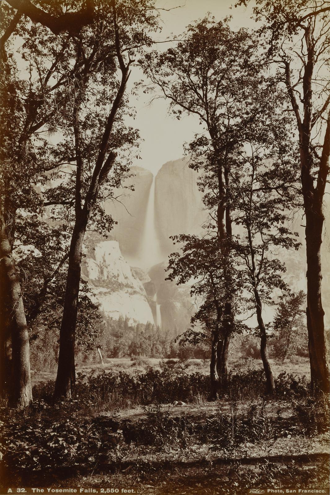 A photo of trees and a waterfall