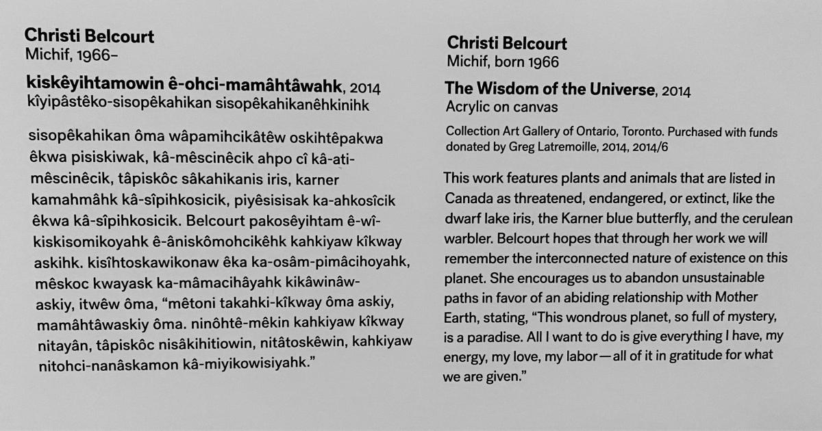 Wall text label for Christi Belcourt's artwork  The Wisdom of the Universe