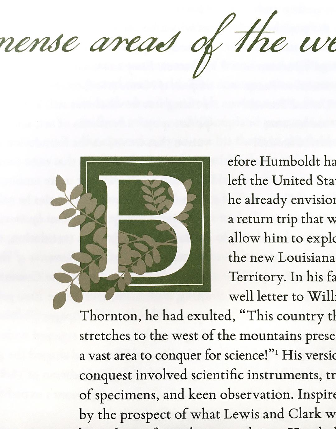 A picture inside a book with the first letter "B" being created from natural elements. 
