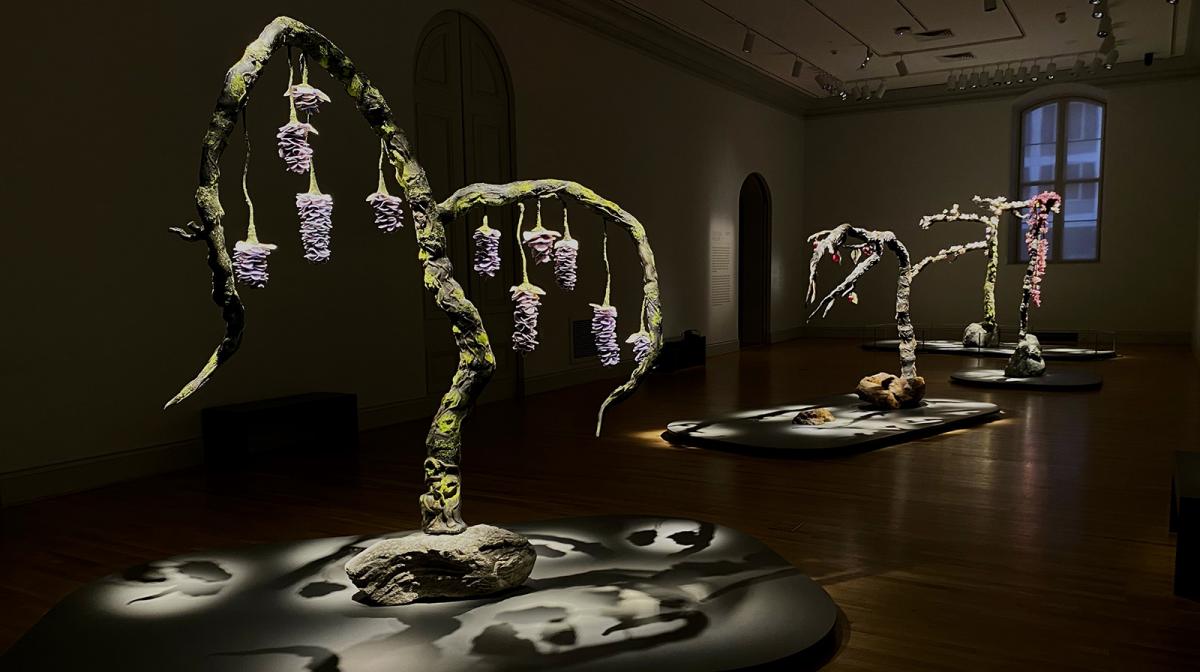 An installation photograph of trees made out of glass. 