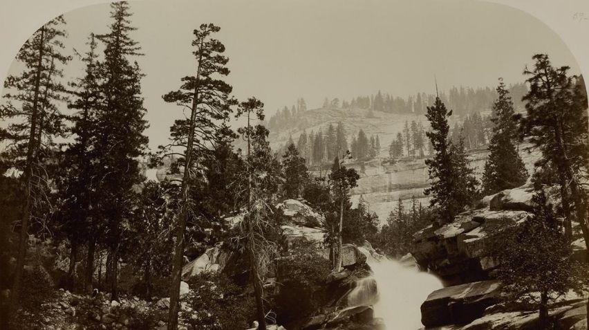 Photograph of trees and a waterfall
