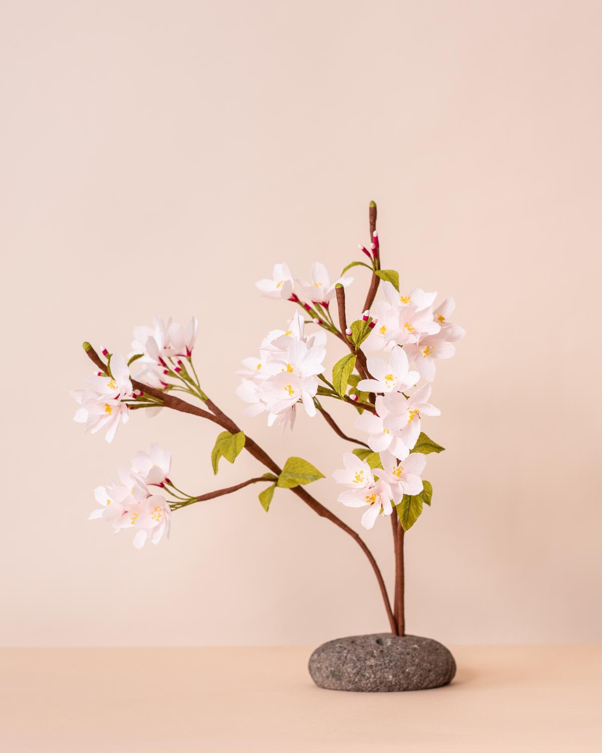 Photo of Paper Chery Blossom branch.