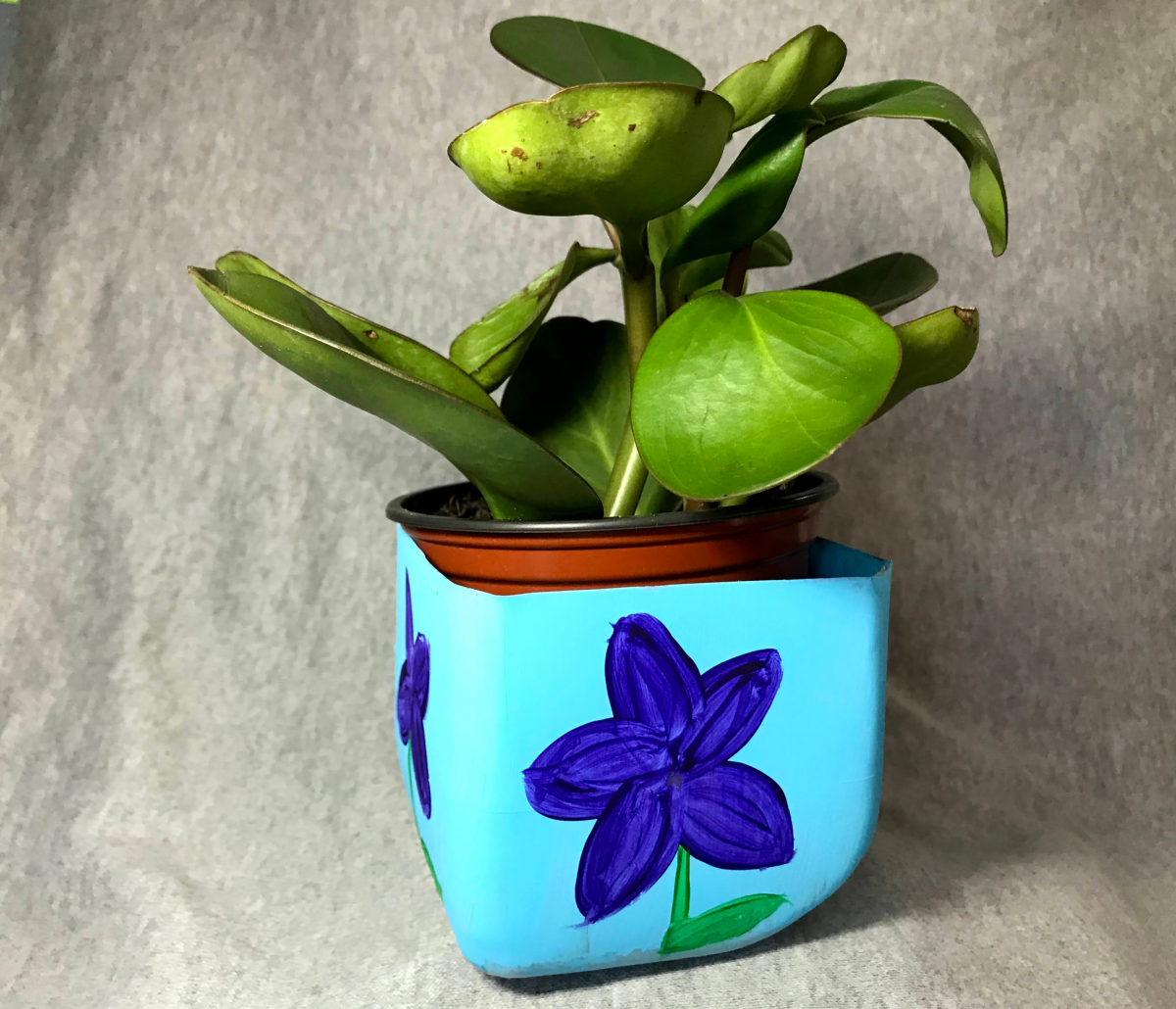 Blue upcycled planter with a plant