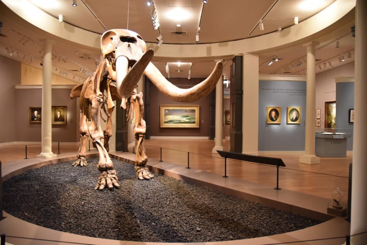 A mastodon skeleton and artworks from the Humboldt exhibition