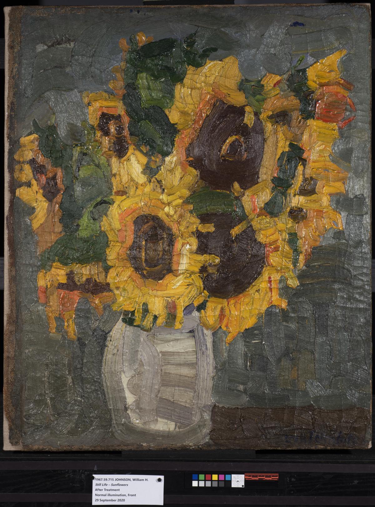 A painting of a vase of yellow sunflowers that has undergone conservation treatment