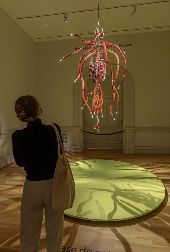 A chandelier made of glass that looks like meat.