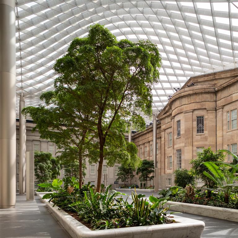 Interior of the Kogod Courtyard at SAAM, the sun shining through the glass ceiling onto the trees and plants indoors.