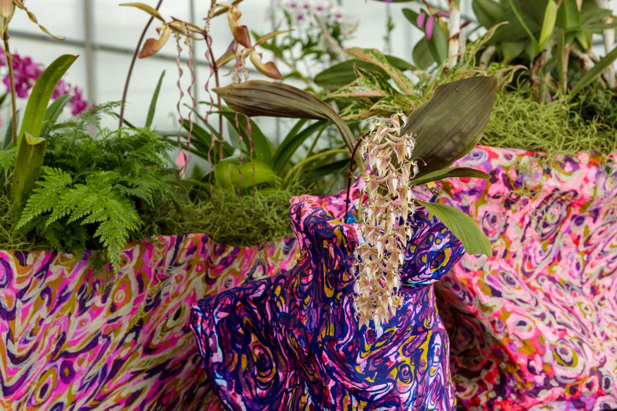 A close up image of a white orchid in a multicolored container featuring an abstract design with purple, blue, yellow, pink and white colors. In the background are green plants held in matching multicolored containers featuring an abstract design in pink, white, purple and gold colors.