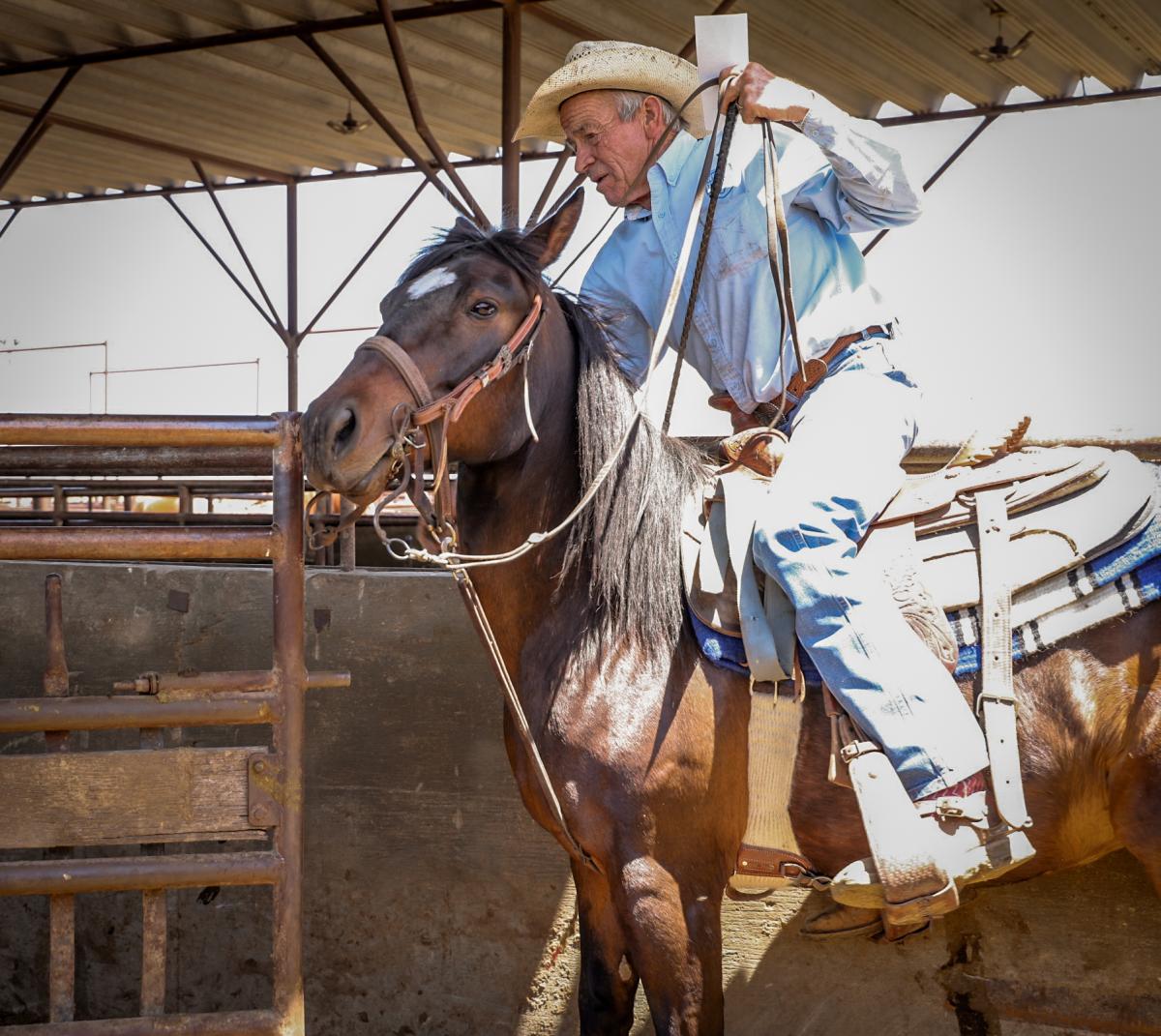 Cowboy guiding a horse