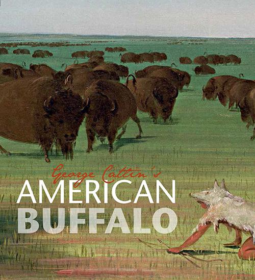 CatlinBuffalo_500.jpg