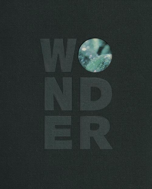 wonder_NEW_500.jpg