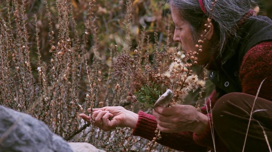 A photograph of a woman in nature.