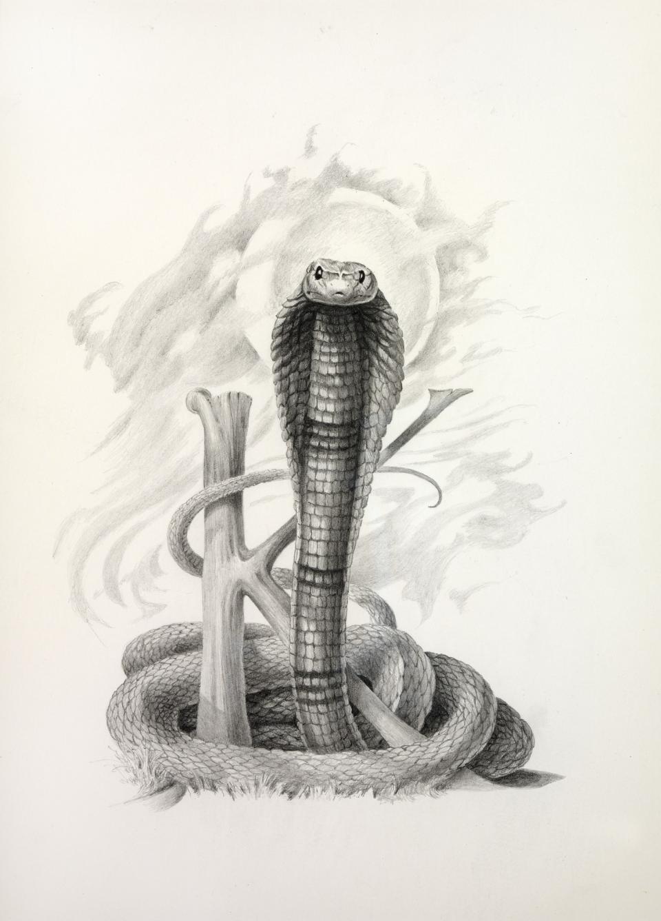 King Cobras, from Lettered Creatures | Smithsonian American Art Museum