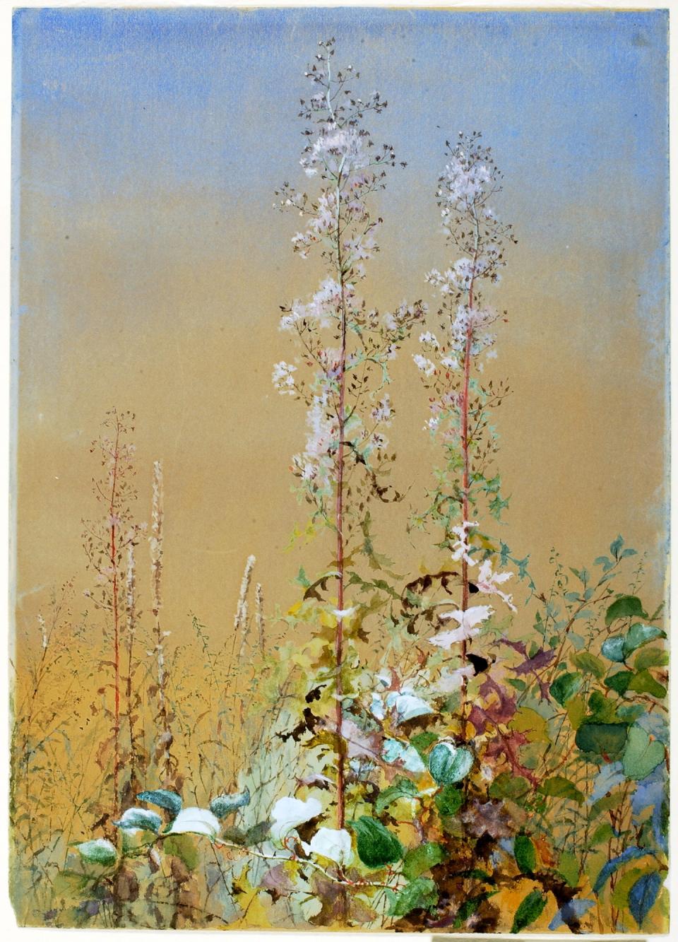 Untitled Smithsonian American Art Museum