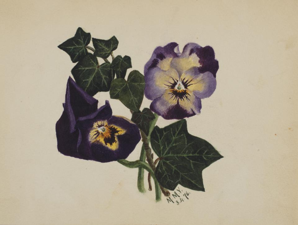 Untitled (Pansies and Ivy) Smithsonian American Art Museum