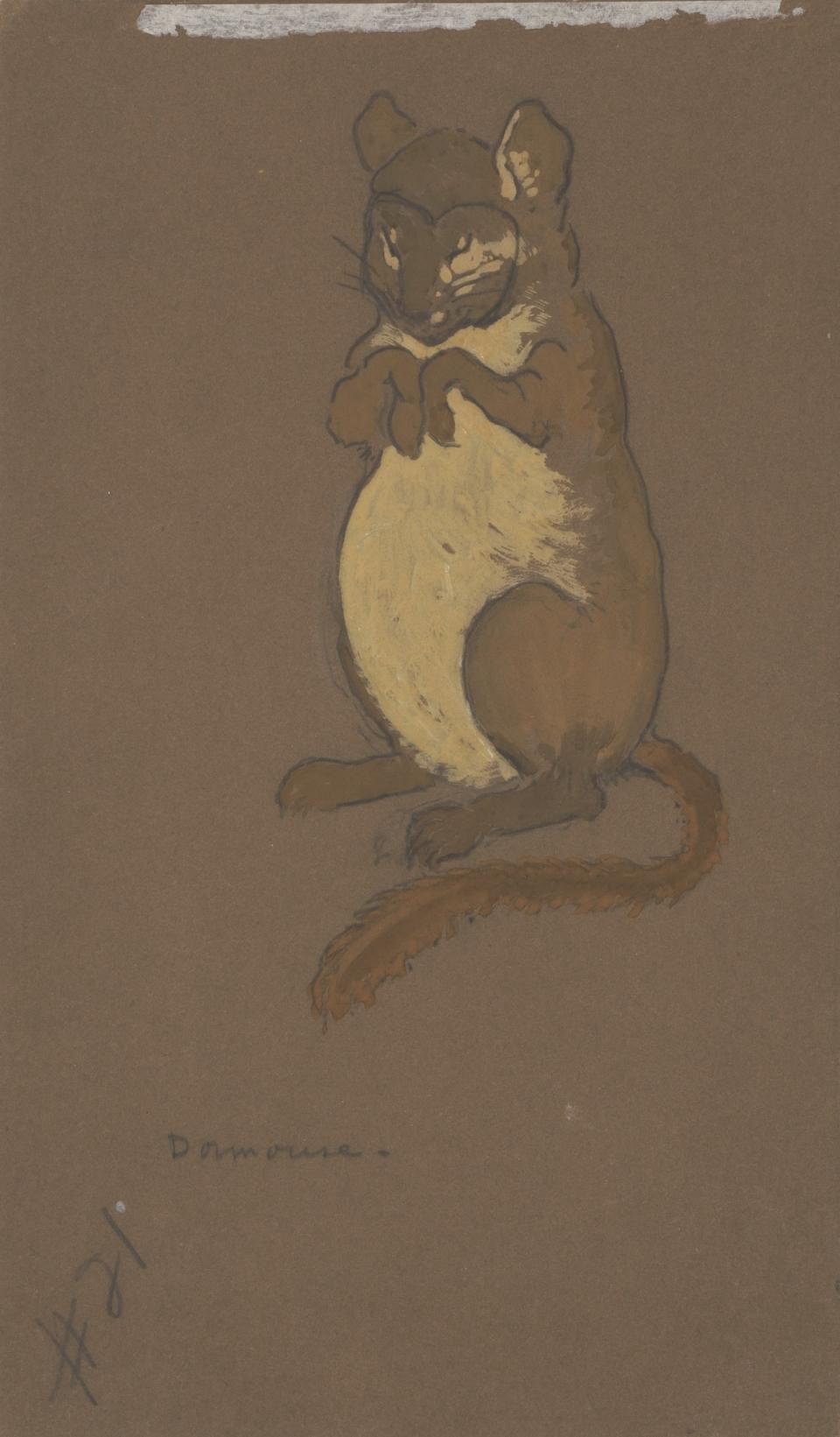 Dormouse (costume design for AliceinWonderland, 1915) Smithsonian