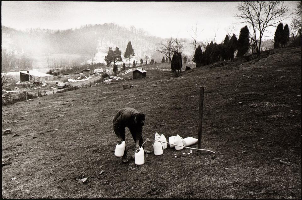 Catfish, Man of the Woods, from the Photographic Survey