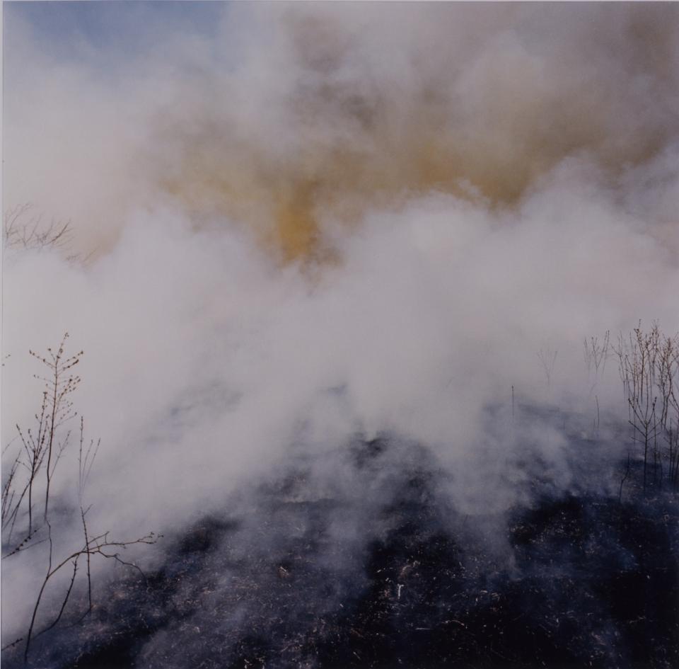 Lake Melvern Smithsonian American Art Museum