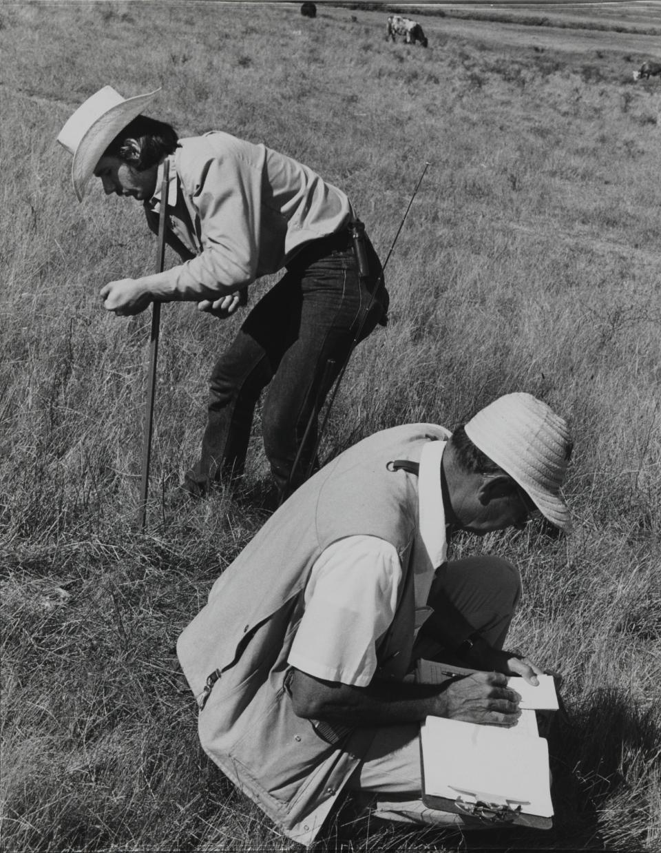 Running Fence, Sonoma and Marin Counties, California, 197276