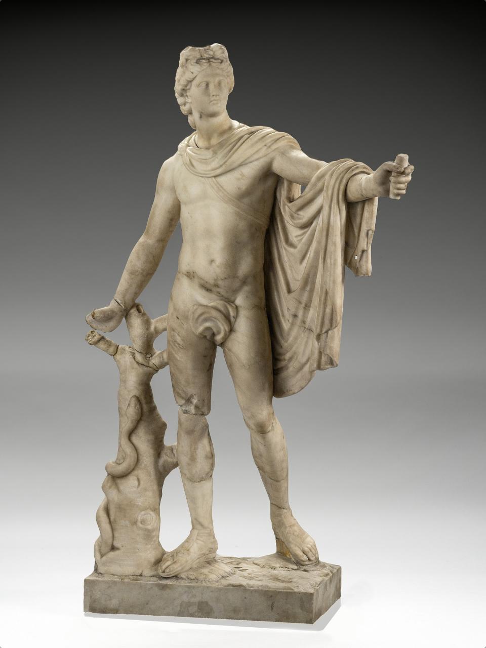 Apollo Belvedere | Smithsonian American Art Museum