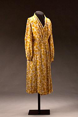 Rosa Parks' Dress