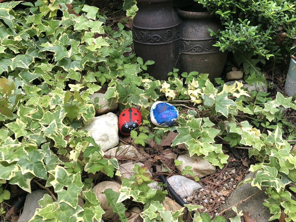 A photograph of some stones painted in a garden