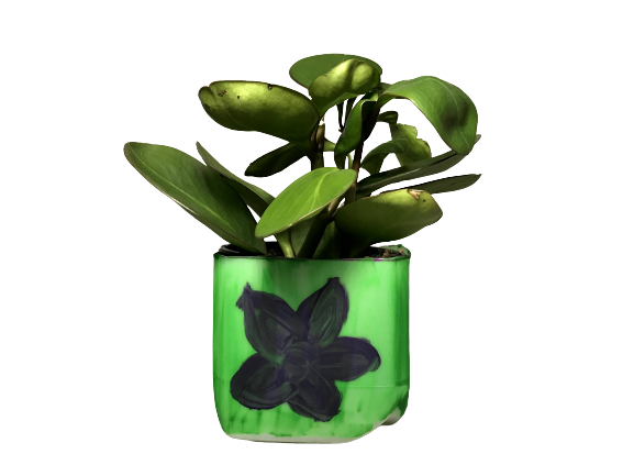 a plant potted in a milk carton