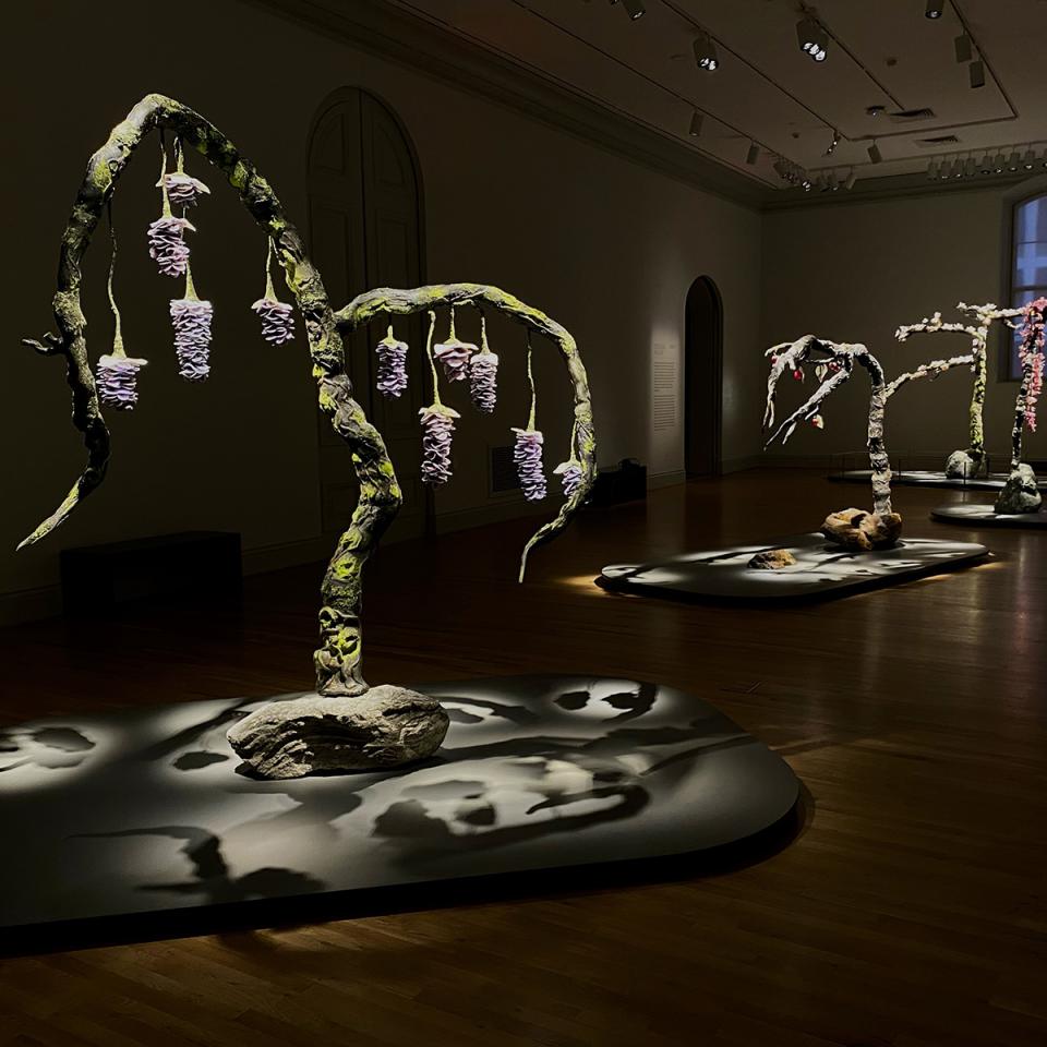 An installation photograph of trees