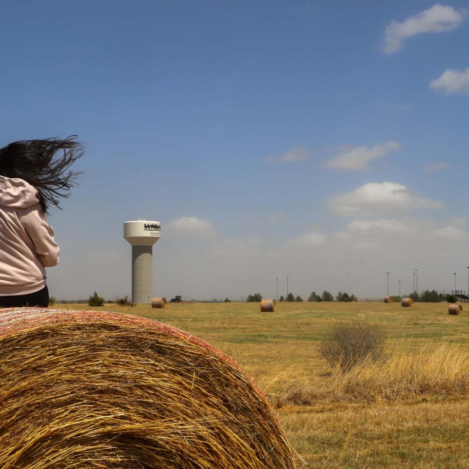 Photo of Person sitting on Bale of Hay.